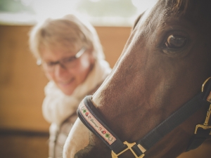 Barbara Hochreiter pferdegestütztes Coaching